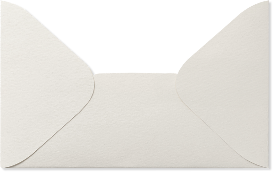 Envelope cover